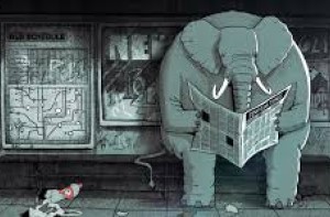 STEVE CUTTS